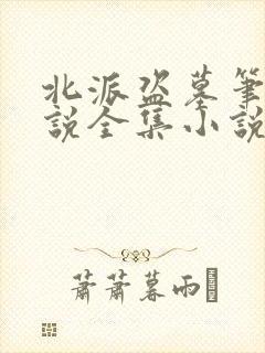 北派盗墓笔记小说全集小说