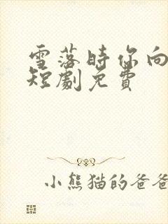 雪落时你向南飞短剧免费