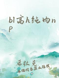 bl高h纯肉np