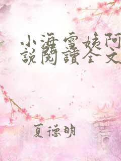 小海雪姨阿辉小说阅读全文最新章节