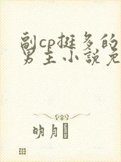 副cp挺多的双男主小说免费阅读全文