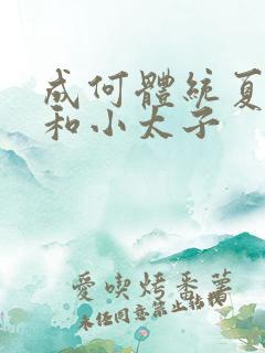 成何体统夏侯澹和小太子