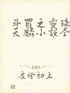 斗罗之灵珠神剑天麟小说全文在线阅读