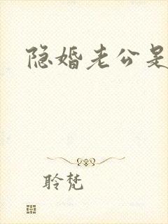 隐婚老公是上司