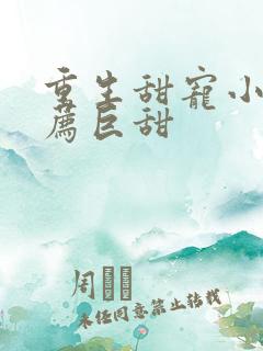 重生甜宠小说推荐巨甜