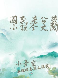 国民老公带回家小说全文阅读免费