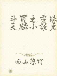 斗罗之灵珠神剑天麟小说免费全文阅读