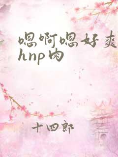嗯啊嗯好爽啊高hnp肉