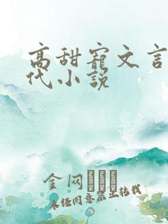 高甜宠文言情现代小说