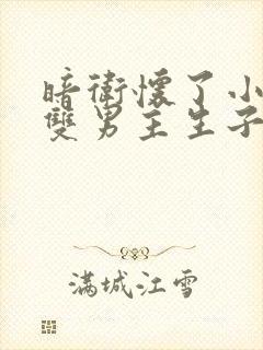 暗卫怀了小主人双男主生子文