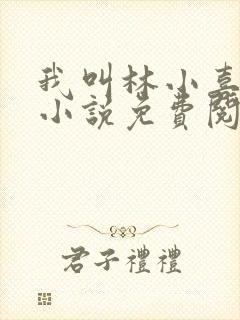 我叫林小喜全文小说免费阅读