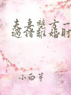 夫妻双方一方有过错离婚财产如何分配