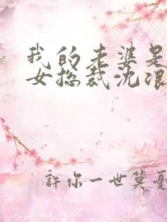 我的老婆是冰山女总裁沈浪最新版