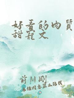 好看的肉质高的甜宠文