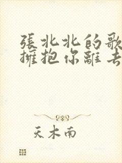 张北北的歌曲《拥抱你离去》