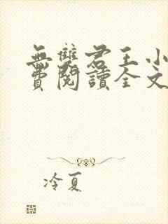 无双君王小说免费阅读全文
