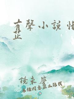 有声小说 惜花芷