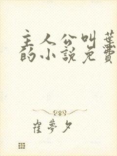 主人公叫叶北辰的小说免费阅读全文