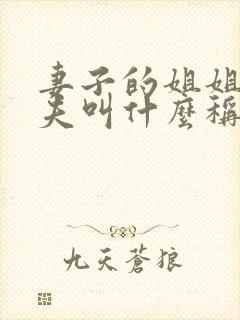 妻子的姐姐的丈夫叫什么称谓