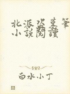 北派盗墓笔记 小说阅读