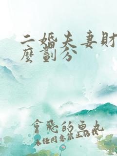 二婚夫妻财产怎么划分