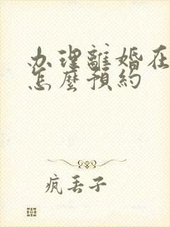 办理离婚在网上怎么预约