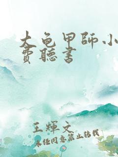 大龟甲师小说免费听书