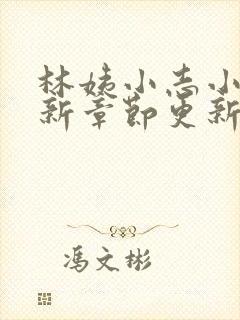 林姨小志小说最新章节更新免费阅读下载