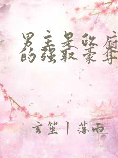 男主是政府高官的强取豪夺高干文