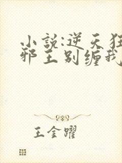 小说:逆天狂妃邪王别缠我