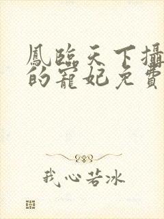 凤临天下摄政王的宠妃免费阅读