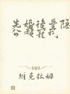 先婚后爱隐婚老公超宠我