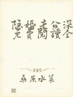 隐婚老公深夜来免费阅读全文