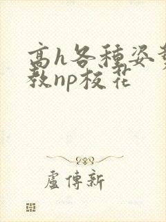 高h各种姿势调教np校花