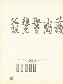 父亲与小芳的小说免费阅读