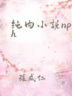 纯肉小说np高h