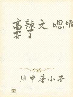 高辣文 嗯啊不要了