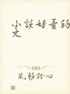 小说好看的甜宠文