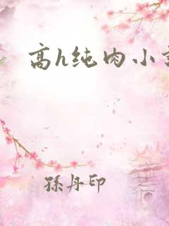 高h纯肉小说文