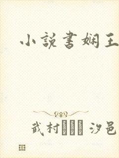小说书娴王叔