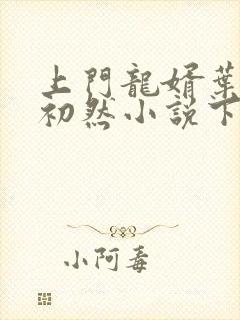 上门龙婿叶辰萧初然小说下载