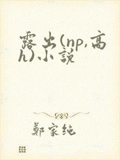 露出(np,高h)小说
