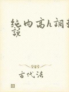 纯肉高h调教小说
