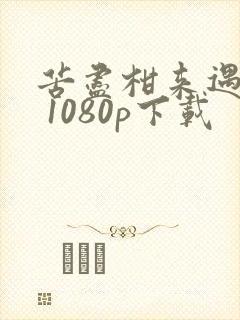 苦尽柑来遇见你 1080p下载