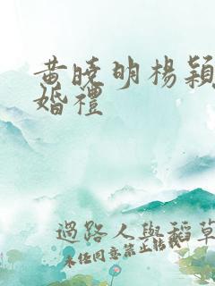 黄晓明杨颖世纪婚礼