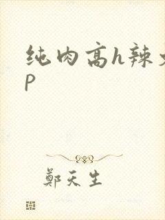 纯肉高h辣文np