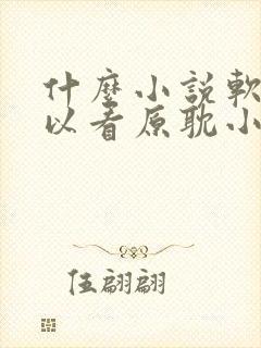 什么小说软件可以看原耽小说