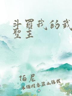 斗罗我的武魂是圣主