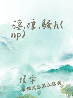 淫,浪,骚h(np)