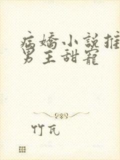 病娇小说推荐双男主甜宠